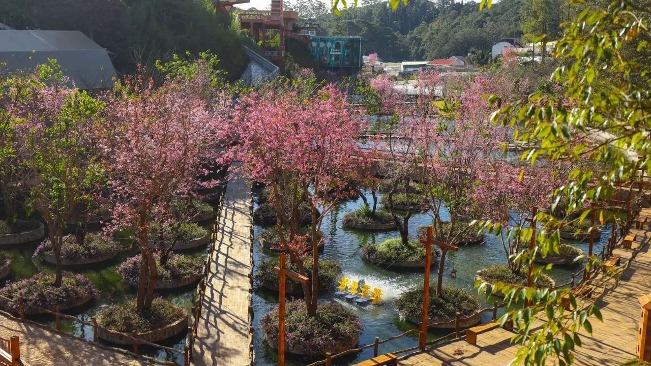 Main locations of Cherry Blossom Festival 2026