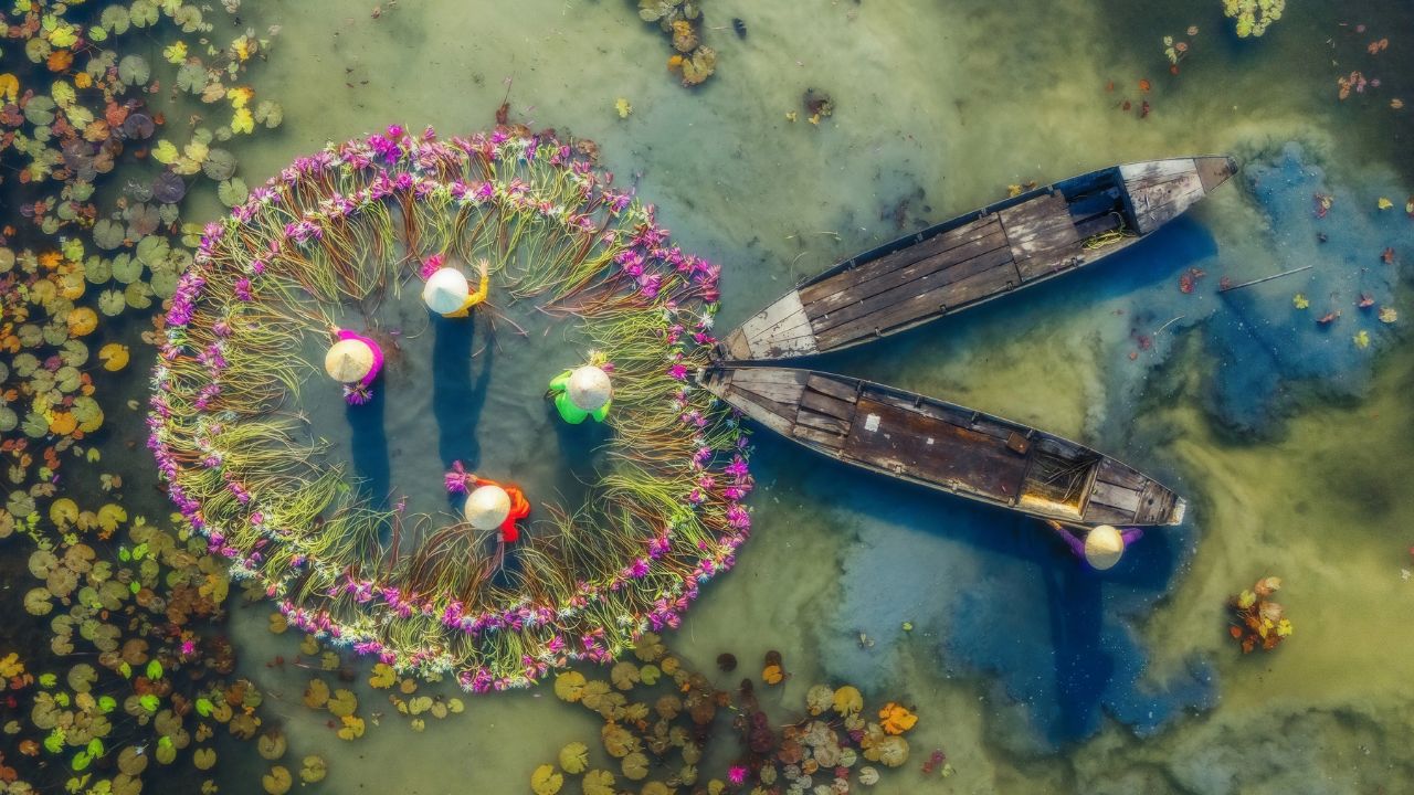 Những trải nghiệm thú vị khi đi khám phá mùa hoa súng Tây Ninh