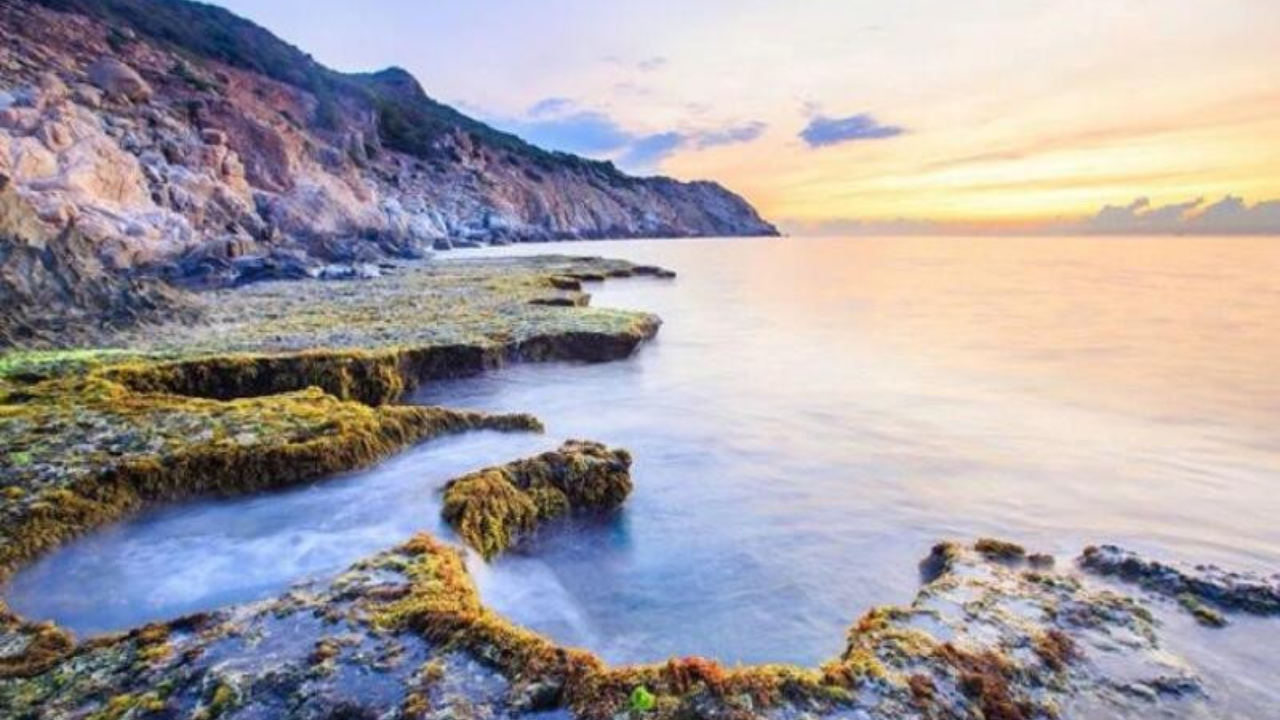 Travel Vinh Hy Ninh Thuan 