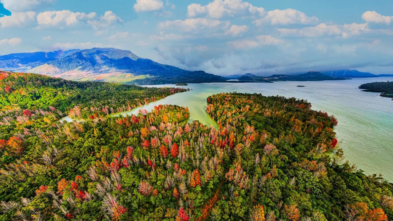 Rừng phong hương và hồ Rào Quán tại Khe Sanh Quảng Trị