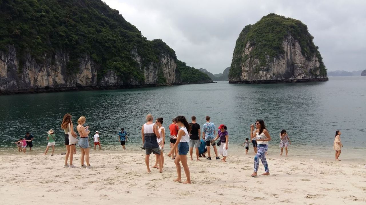Swimming & Beach Sports
