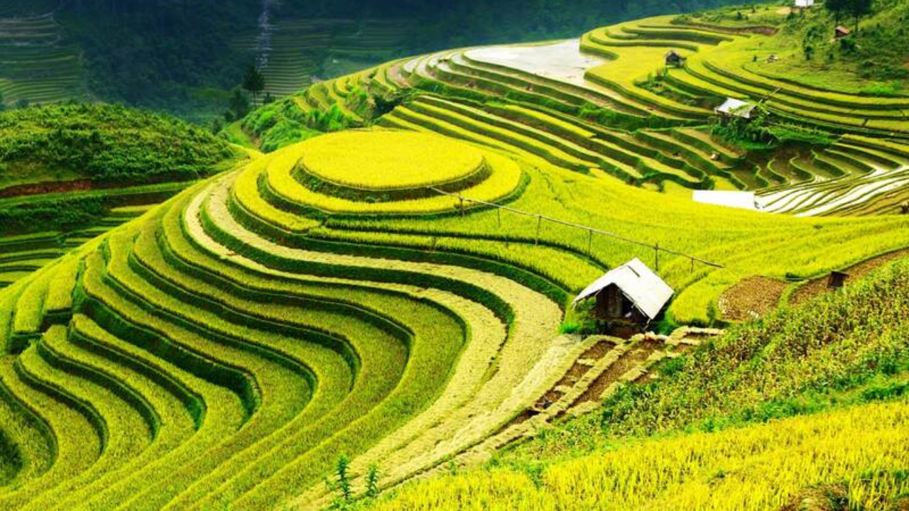 Lao Cai