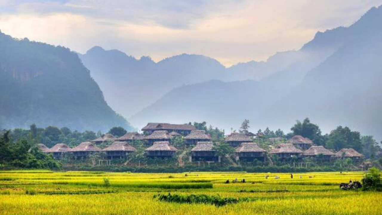 Mai Chau