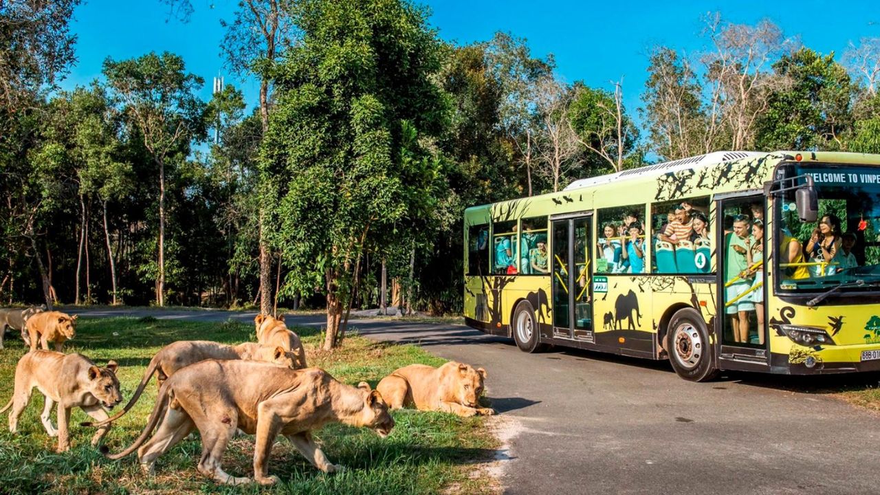 Vinpearl Safari & VinWonders in the 7-Day 6-Night Hanoi - Phu Quoc tour