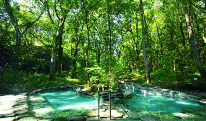 SẮC MÀU CUNG ĐƯỜNG VÀNG - OSAKA – KYOTO – YAMANASHI – TOKYO 