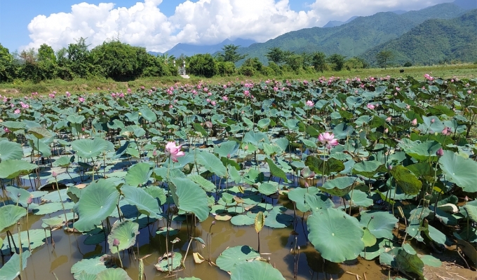 Hoa Bac Valley