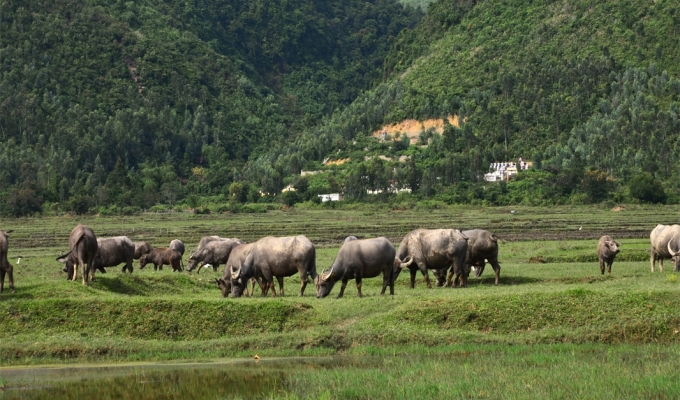 Hoa Bac Valley