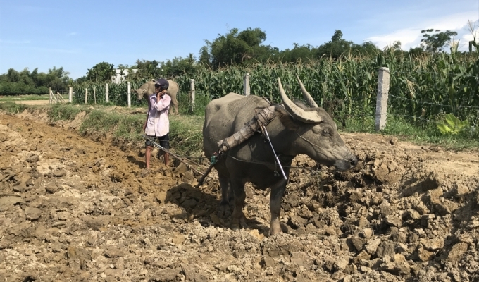 Rural Experience