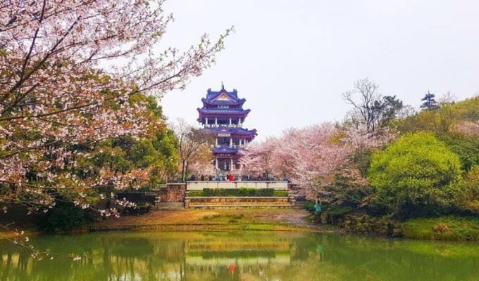 BẮC KINH - THƯỢNG HẢI - VÔ TÍCH - HÀNG CHÂU ( Xuất phát từ TP. Đà Nẵng)