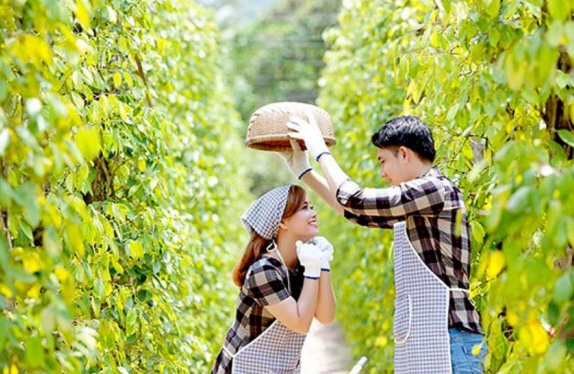 tour tham quan 8 điểm nam đảo | Phú Minh Quang